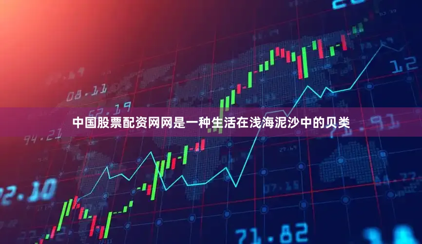中国股票配资网网是一种生活在浅海泥沙中的贝类