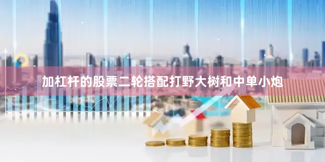 加杠杆的股票二轮搭配打野大树和中单小炮