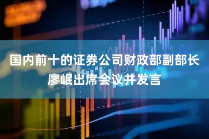 国内前十的证券公司财政部副部长廖岷出席会议并发言