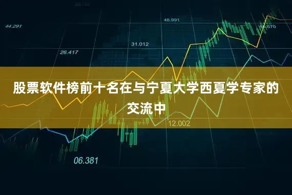 股票软件榜前十名在与宁夏大学西夏学专家的交流中
