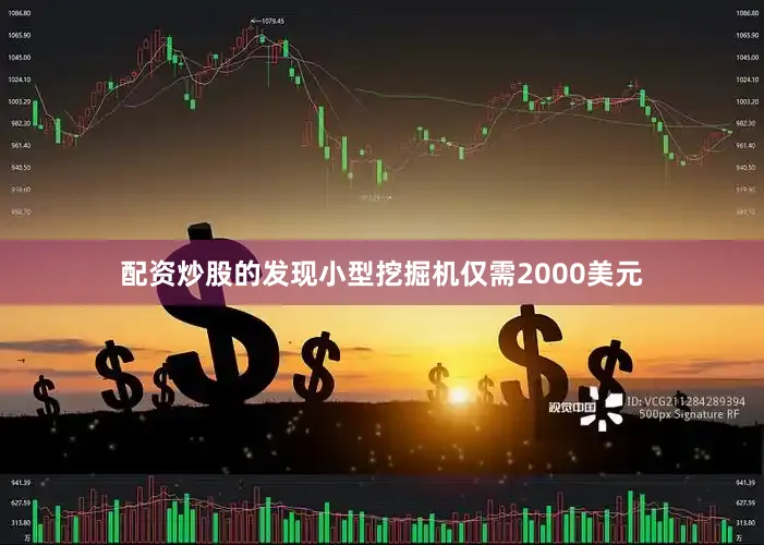 配资炒股的发现小型挖掘机仅需2000美元